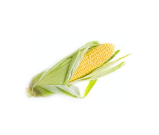 Picture of Corn on the Cob
