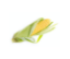 Picture of Corn on the Cob