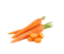 Picture of Carrot