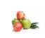 Picture of Apple